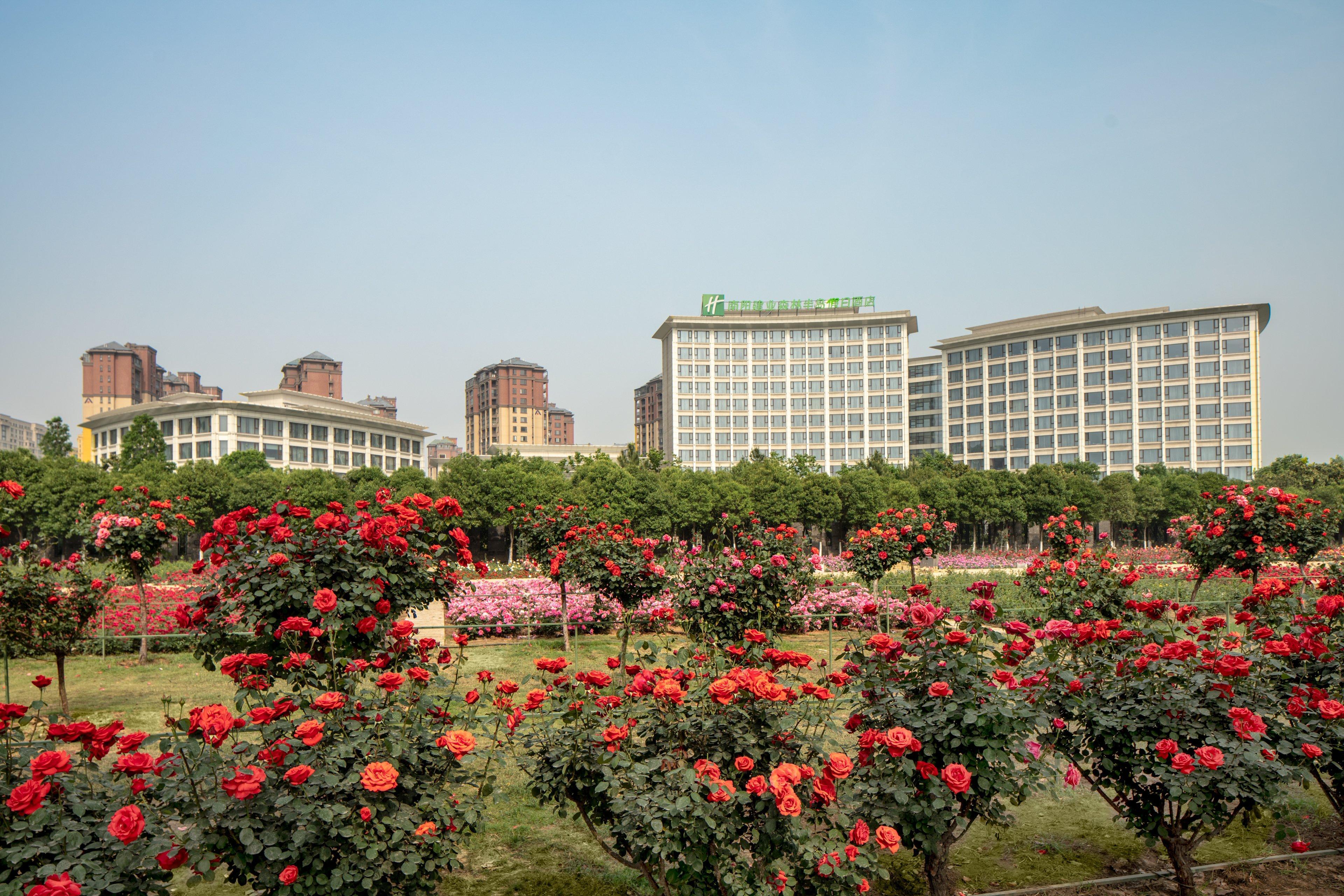 Holiday Inn Nanyang By Ihg Exterior photo